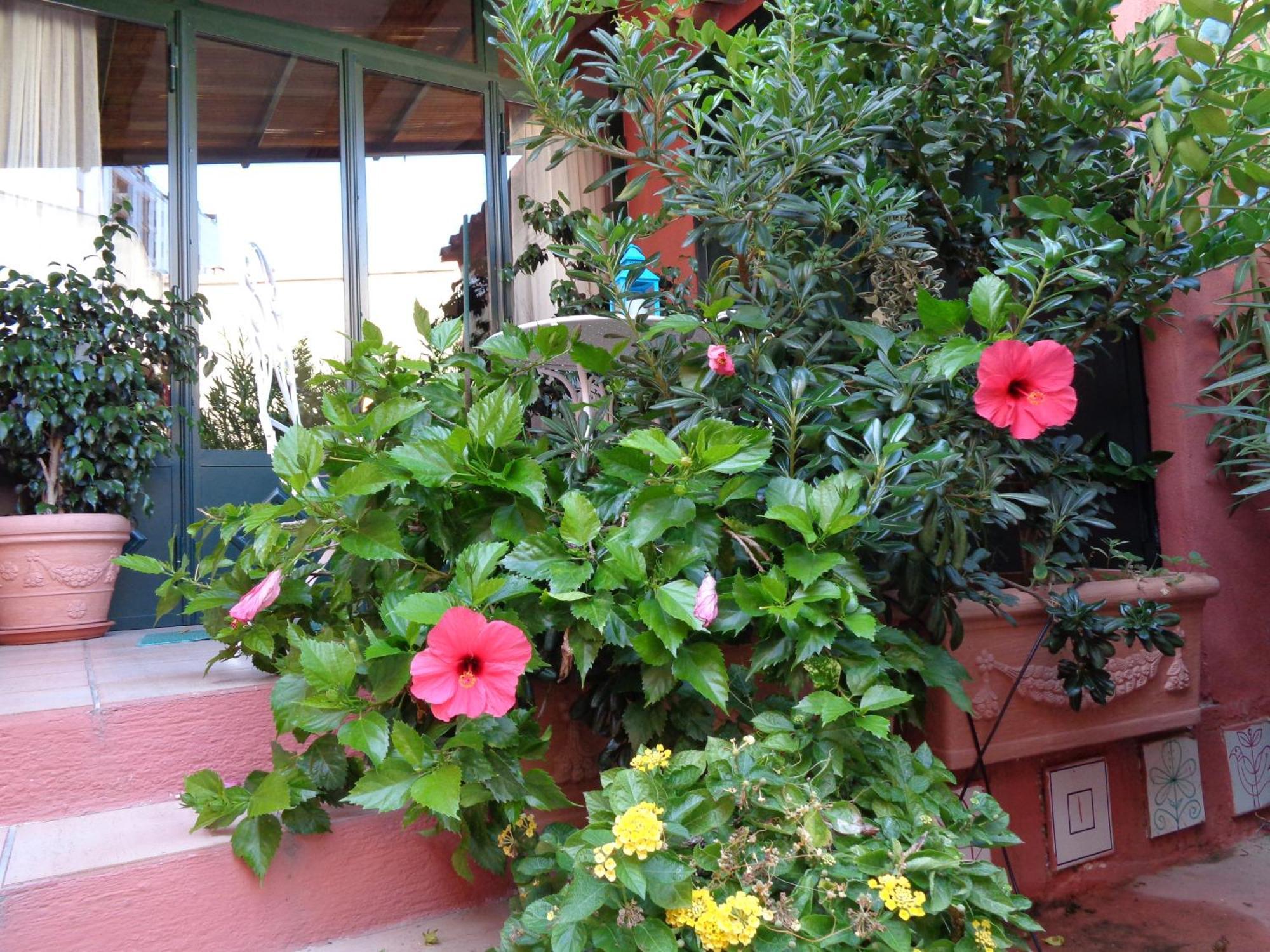 Genius Loci Cozy House With Garden In The Old Town Iun P4177 Appartamento Olbia