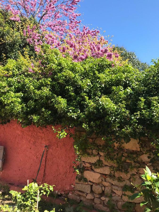 Genius Loci Cozy House With Garden In The Old Town Iun P4177 Olbia